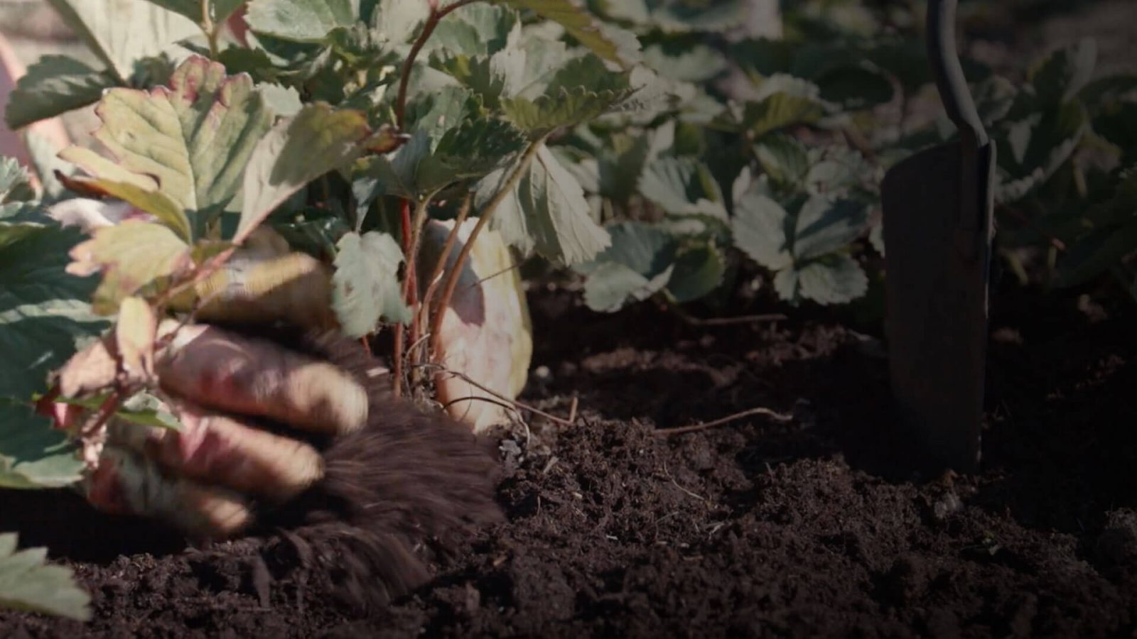 Produkter Champost.dk