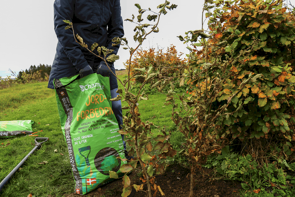 Jordforbedring ved hæk