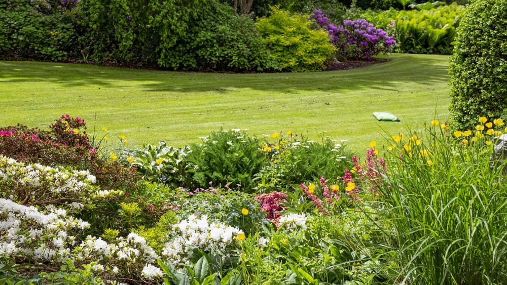 Blomsterbed - staudebed