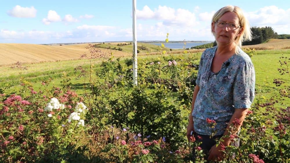 Gensyn med staudebedet