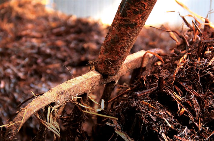 Spredegreb i kompost