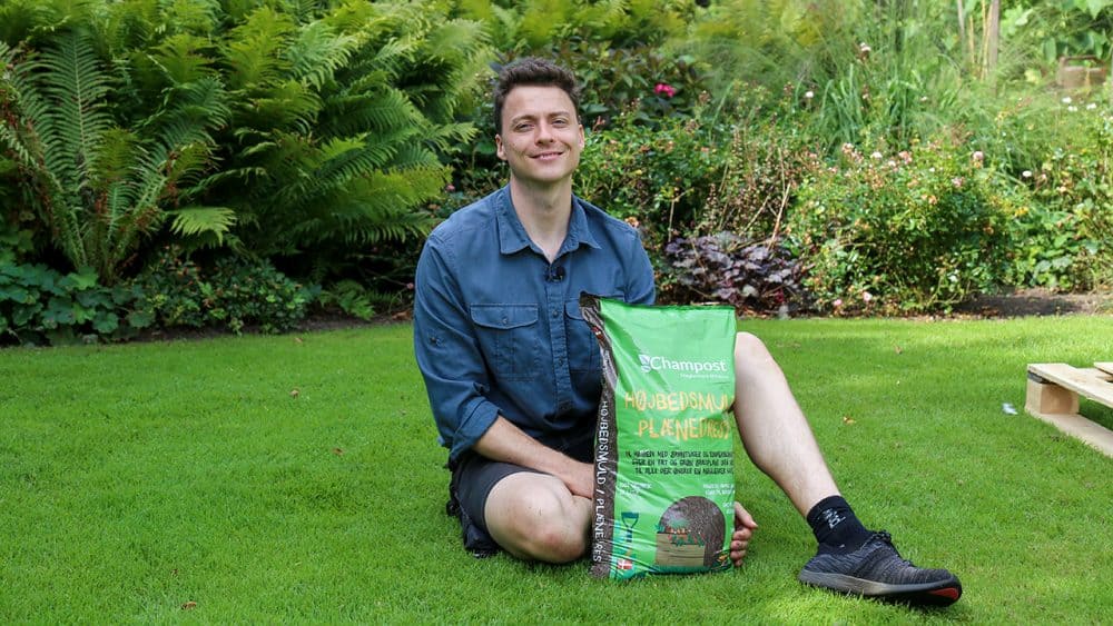 Få en tæt grøn græsplæne med plænedress