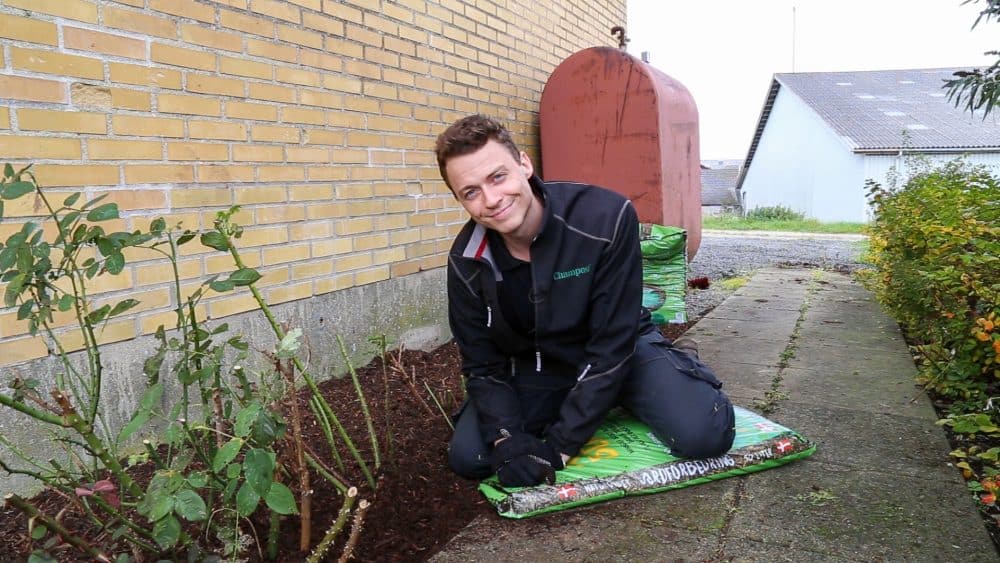 Topdæk jordforbedring efterår