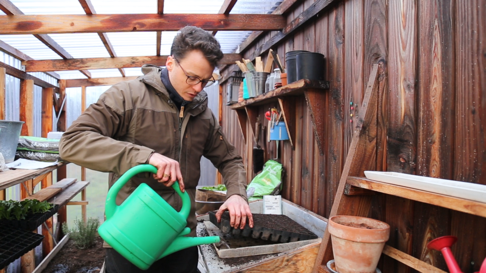 Forspiring i drivhus med Henrik