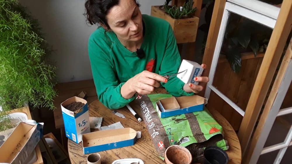 Så- og prikle med Anne fra TagTomat