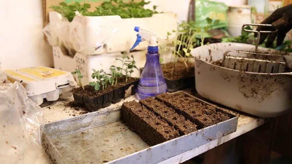 ny såjord soil blocker