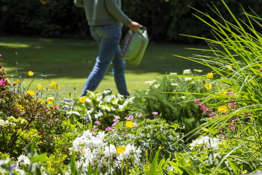 Blomsterbed have champost jordforbedring