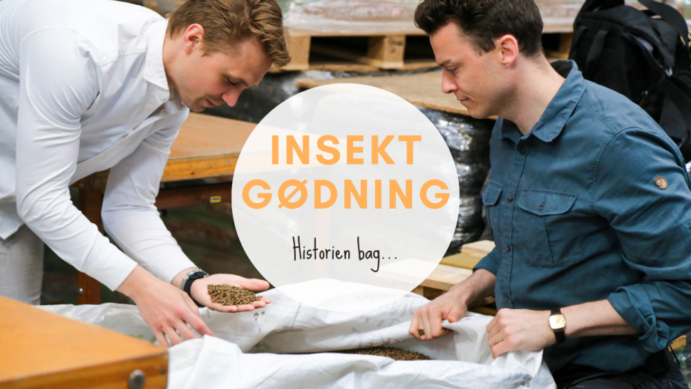 Champost Insekt Gødning