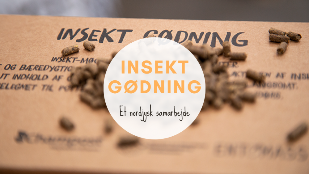 Insekt Gødning - Bæredygtig gødning