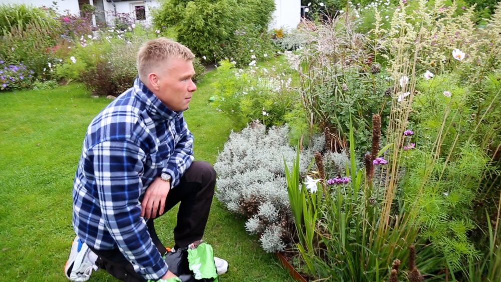 Frede fra Udkansk Champost Jordforbedring i staudebedet