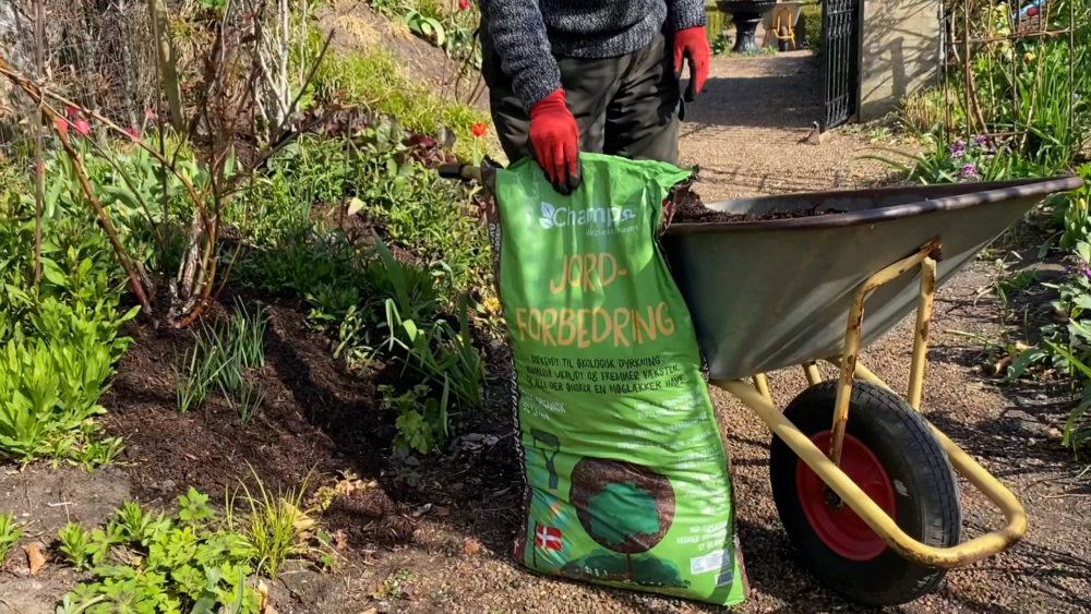 Haven i Hune topdækker med Champost Jordforbedring