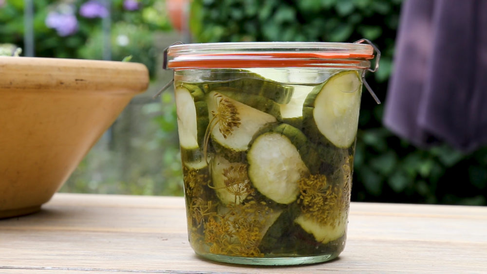 Råsyltede agurker i glas fra drivhuset