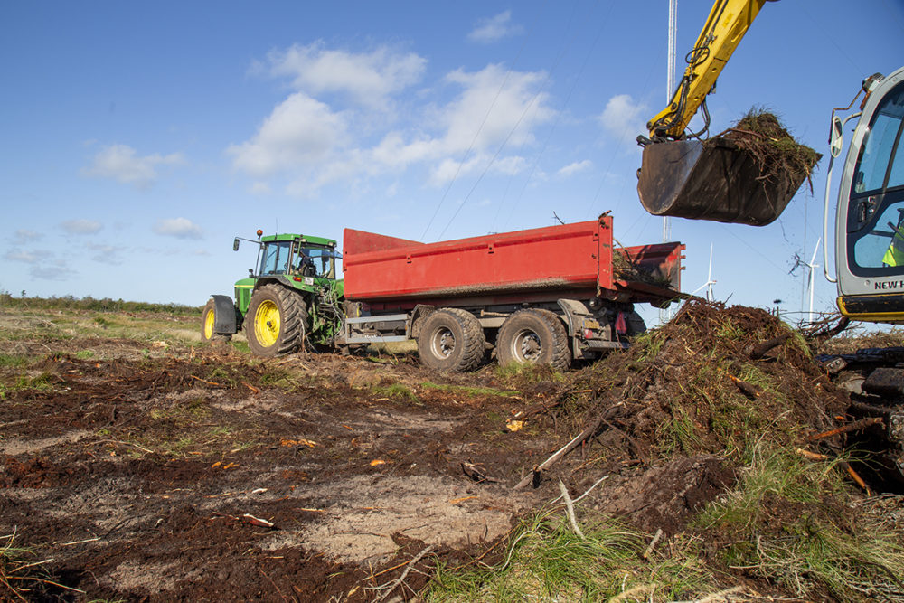 Skovmuld fra naturgenopretningsprojekt i Østerild skal erstatte spagnum