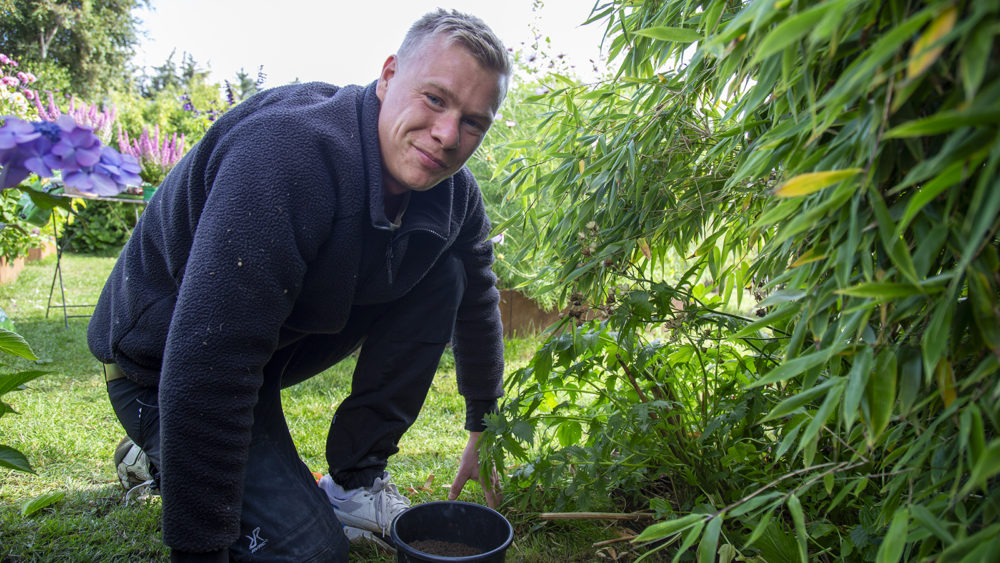 Udkansk pleje af græsplæne (løsne jord og lappe huller)