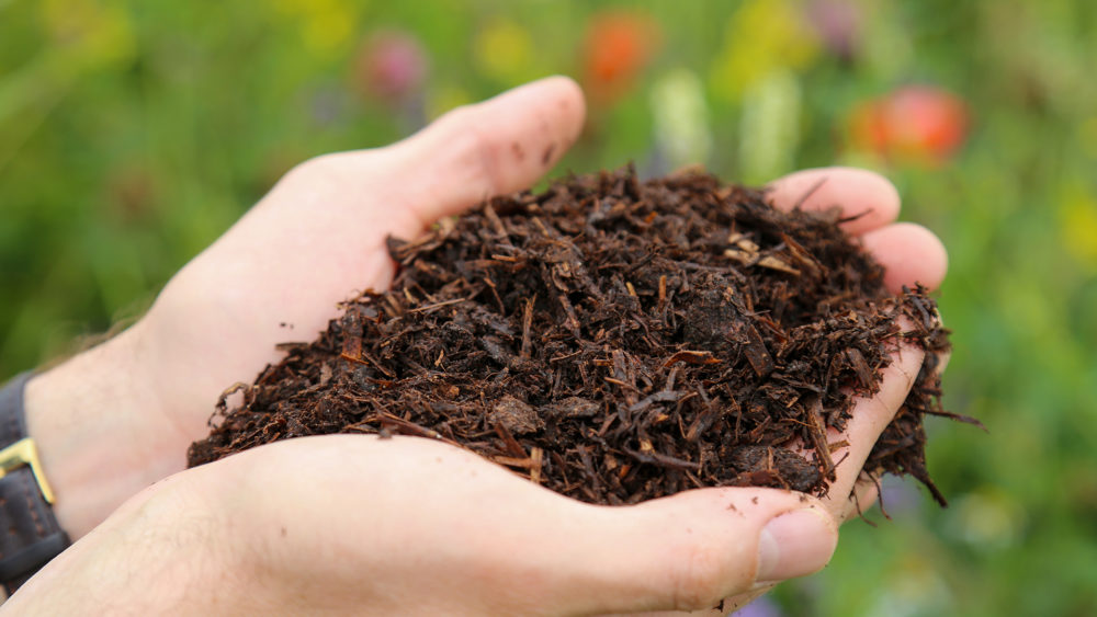 Champost Jordforbedring i hænder