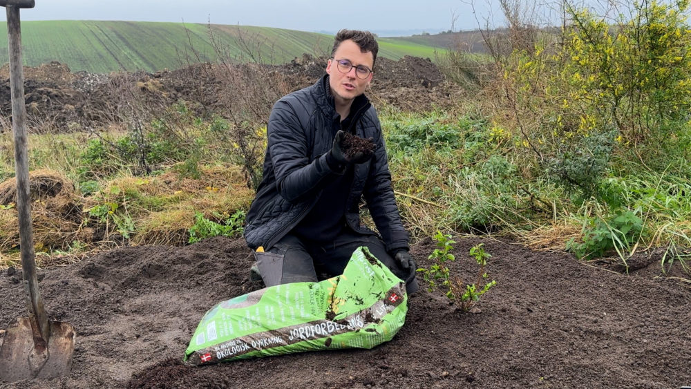 Topdæk med Champost Jordforbedring om efteråret