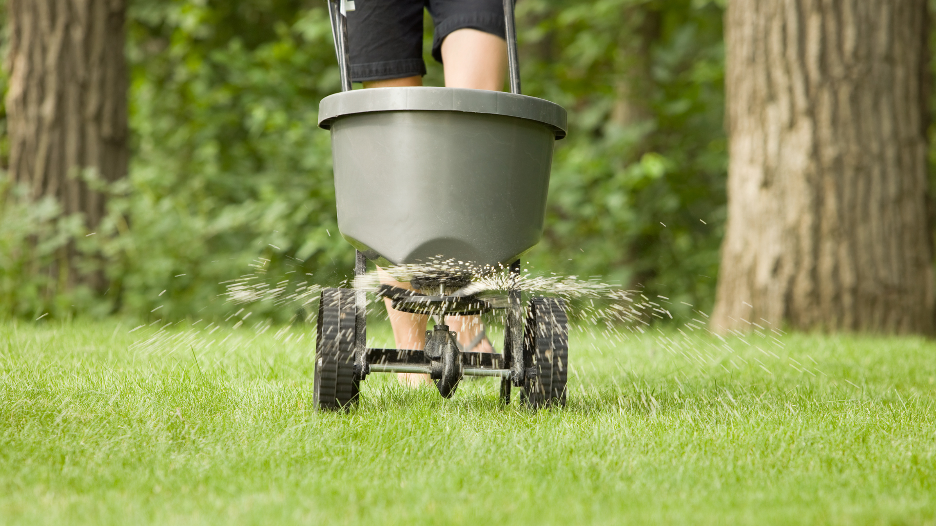 Giv haven og græsplænen kalk.