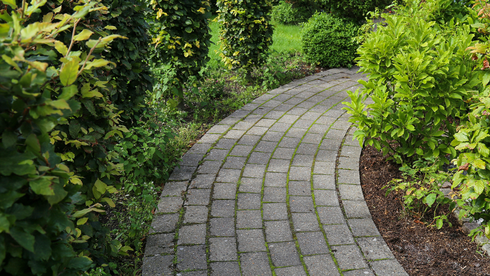 Champost Jordforbedring anvendes for at minimere mængden af ukrudt, holde på fugten, gøde jorden og gøre jorden mere porøs og lækker.