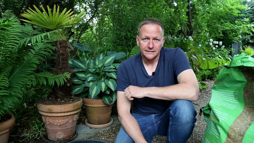 Henrik Ravn blander blander sin egen eksotiske jord til palmer