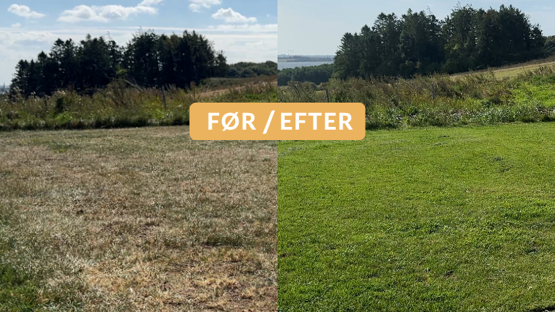 Slidt græsplæne før og efter